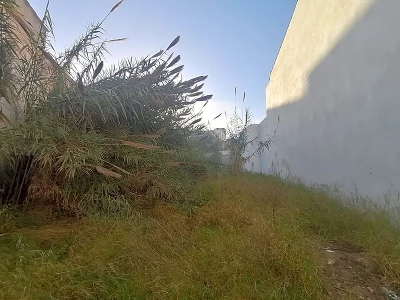 Buildable plot in the center of Felanitx — photo 2