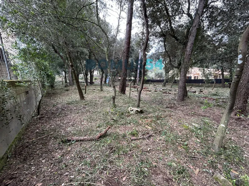 Urban plot in Son Toni Sa Pobla — photo 3