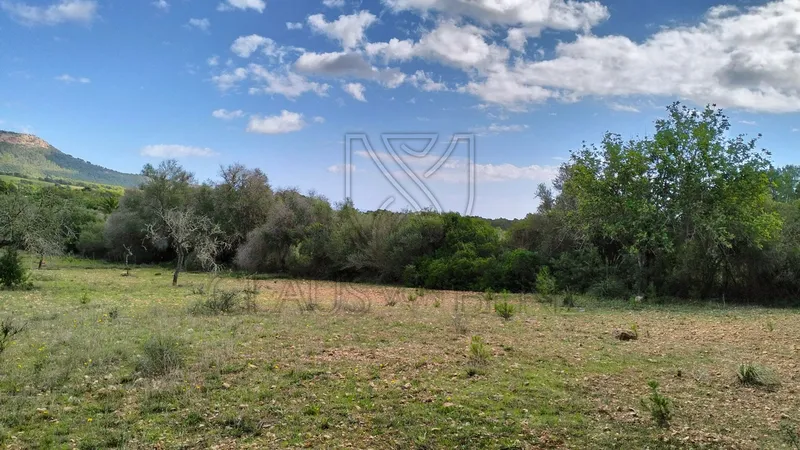 Felanitx – Fantastic plot with panoramic views — photo 3