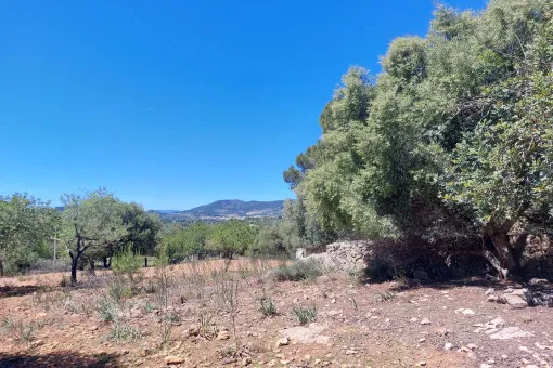Alaró, finca project in a stunning hill landscape with mountain views near Alaró — photo 10
