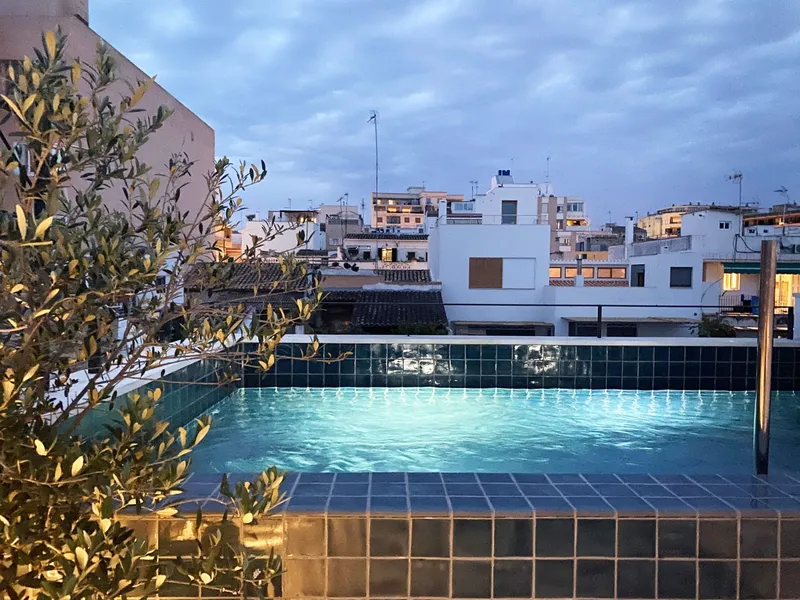 Boutique style townhouse near Santa Catalina — photo 9