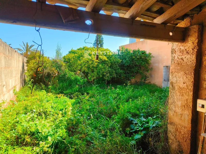 Plot — photo 6