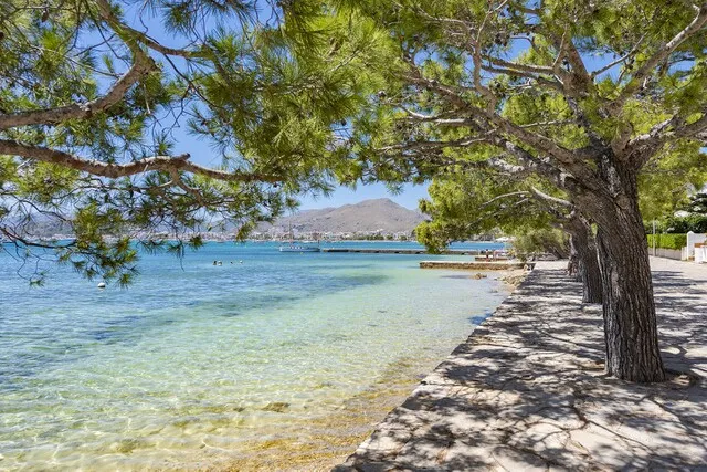 Lavish front line garden apartment for sale in Puerto Pollensa, North Mallorca — photo 6
