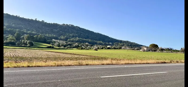 Rustic estate in Alcudia, with an area of approximately 23,000 m2, possibilities to build a detached single-family home and — photo 2