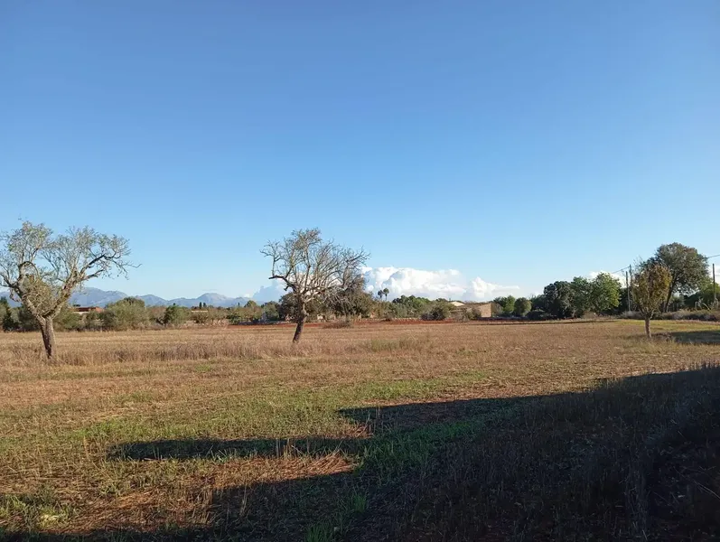Discover this magnificent rustic estate of 46,000 m2! 🌳 The property features a charming 100 m2 country house, ideal for enjoying — photo 8