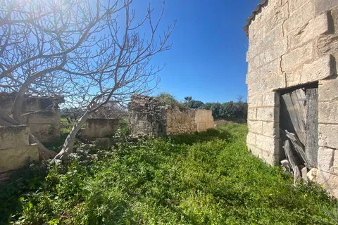 Cortijo in Campanet, Mallorca — photo 11