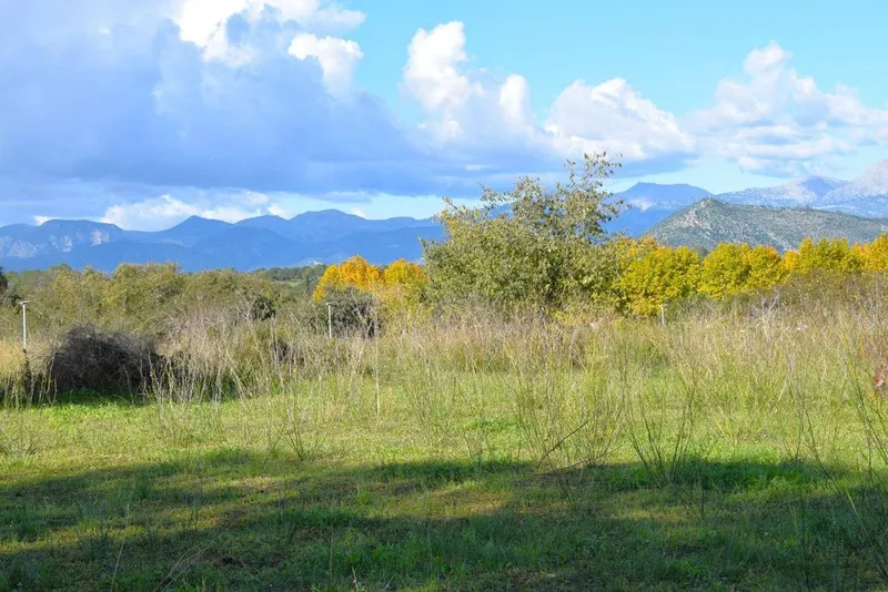 Land in Llubí, Province of Balearic Islands — photo 1