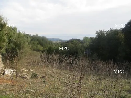Charming rustic plot with panoramic views of Capdepera & Artà — photo 1