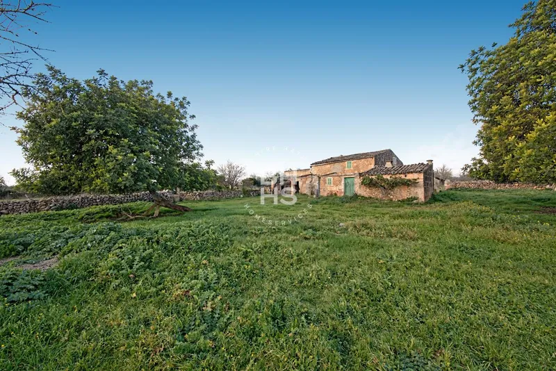 Rustic Finca for sale in María de la Salut — photo 1