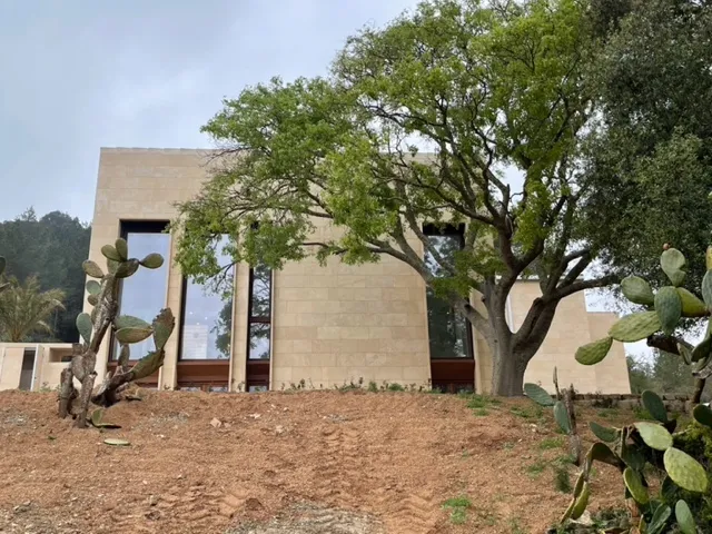 Modern finca with pool in Es Carritxo 1 — photo 10