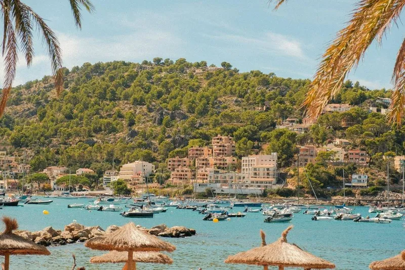 Land in Soller, Province of Balearic Islands — photo 6