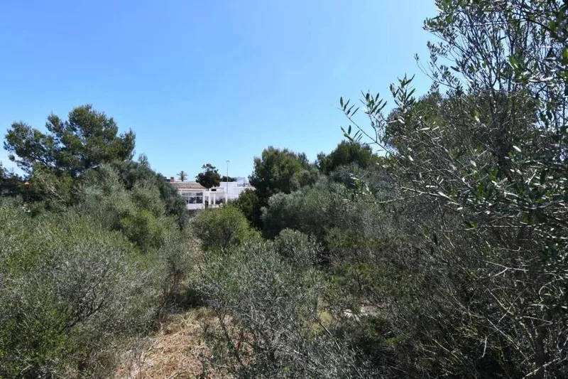 Large commercial plot with many options in Cala D'Or — photo 2