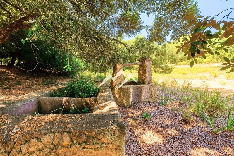 Large Rustic Estate of 266,000 m2 in Artà — photo 3