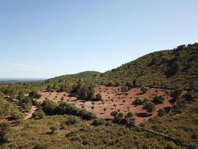 Magnificent rustic finca with mountain and sea views for sale near the Rafa Nadal Sports Academy — photo 9