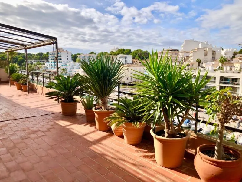 Penthouse Attic by the Port of Porto Cristo — photo 2