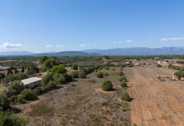 Rustic plot in Algaida — photo 9
