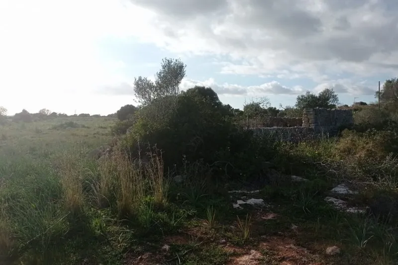 Plot between Santanyí – Cala Figuera — T 01 VK CM — photo 2