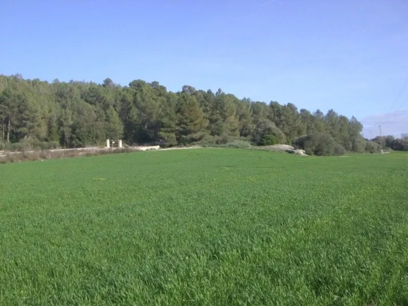 Rural or Farmhouse in Algaida, Province of Balearic Islands — photo 7