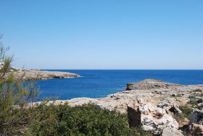 Plot of approximately 1,000m2 on the seafront in Cala D'Or — photo 2