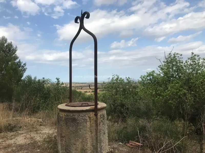 Old house surrounded by nature and with many possibilities!! Palma House Inmobiliaria offers you this spectacular rustic plot of about — photo 10