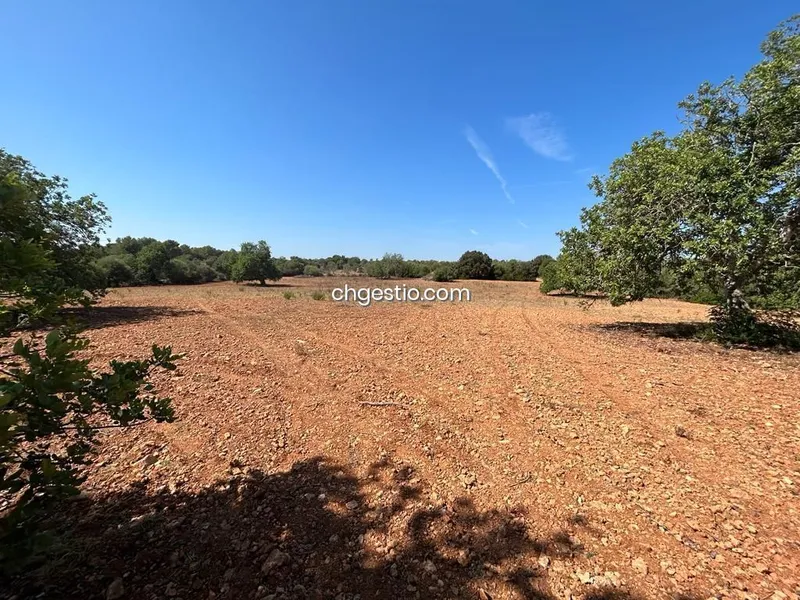 Plot in Campos — photo 5