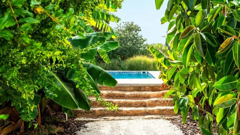 Villa for rent in Santa María del Camí, Mallorca — photo 4