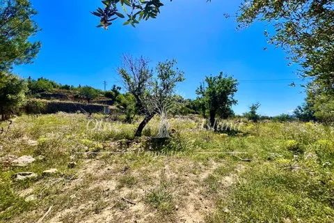 Land in Alaro, Mallorca — photo 11