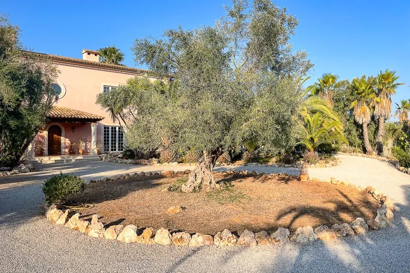 If you are looking for something very special! Grand luxury finca with large plot — photo 3