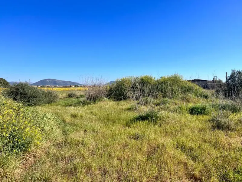 Rustic estate between Sa Pobla and Muro, with over 21,700 m2 of land and several constructions, one of them a large safareig and the other a — photo 10
