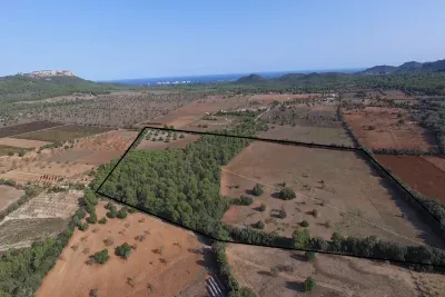 Building land for sale in Felanitx — photo 3