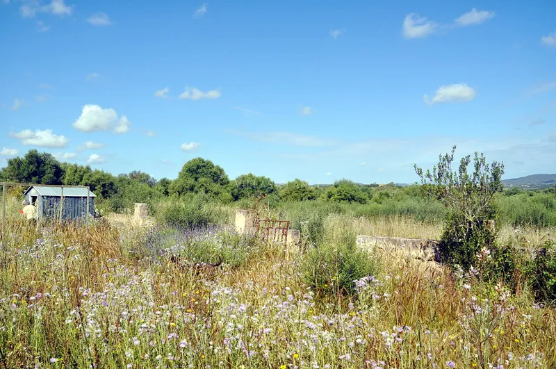 Country plot with project — photo 10