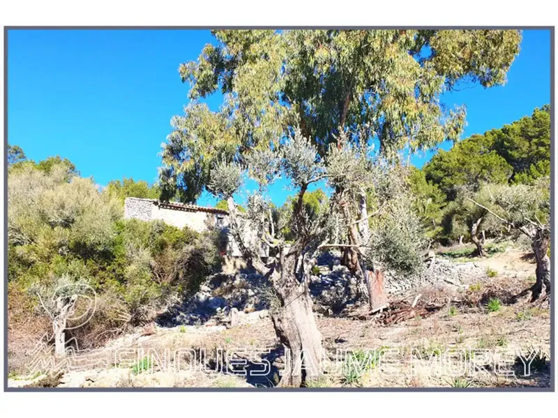 Beautiful rustic mountain estate for sale in Mancor de la Vall in a uniquely beautiful setting — photo 6