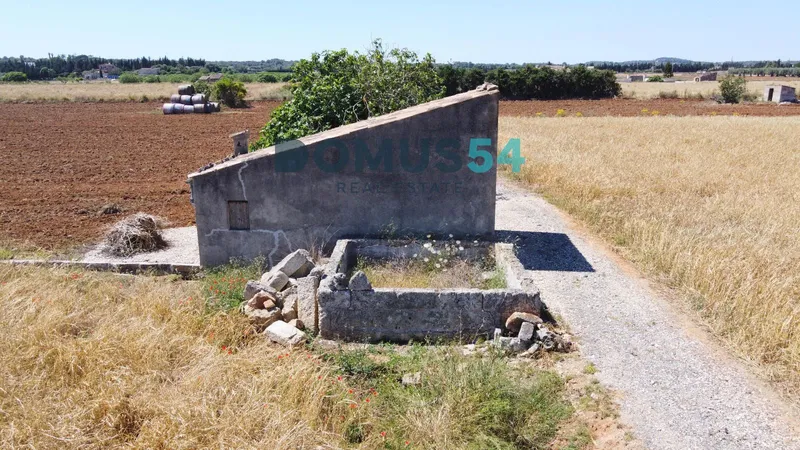 plot in Muro — photo 3