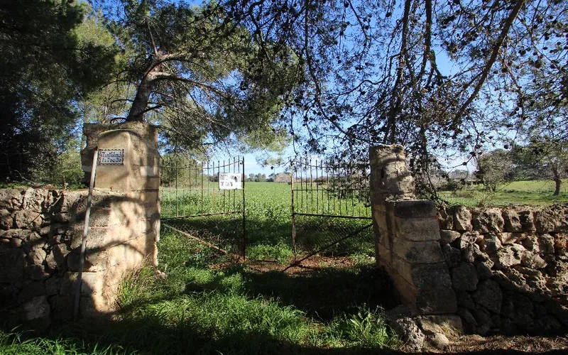 Country land with urban planning license to build house with pool, Maria de la Salut — photo 1