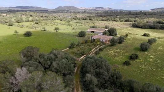 House with land - Porreres (Outskirts) — photo 6