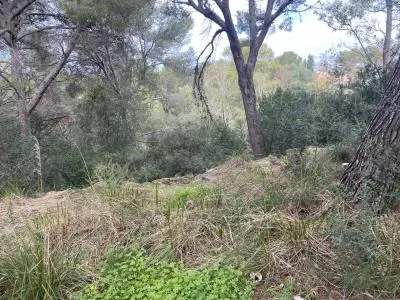 Buildable plot in Alcúdia - Barcarés - Manresa - Bonaire area — photo 1