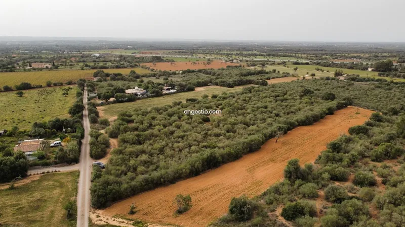 Plot in Campos — photo 6
