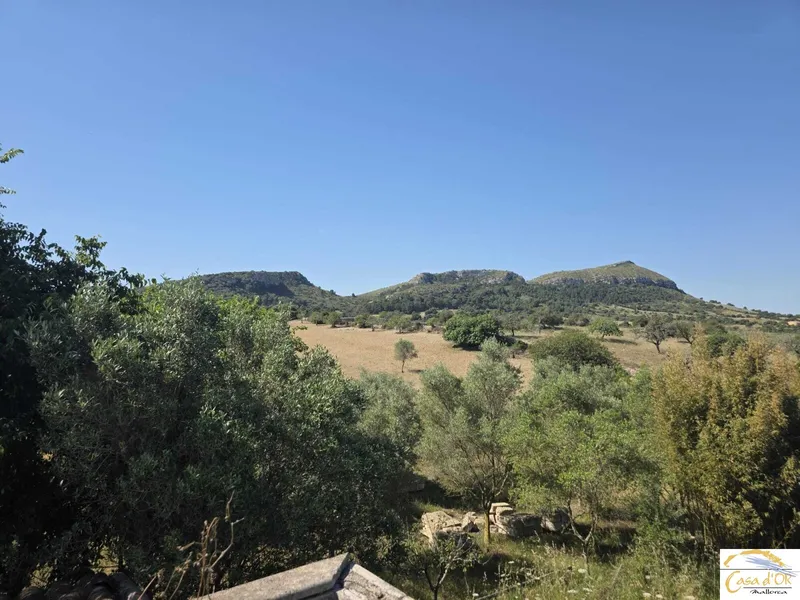 Exclusive natural finca with spectacular mountain panorama and unique building potential near Sant Llorenç des Cardassar — photo 1