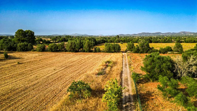 Plot in Felanitx with potential for your dream home — photo 2