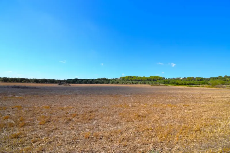 Set of plots totaling 19,622 m2, with the possibility of building a house in a privileged natural environment in Muro — photo 11