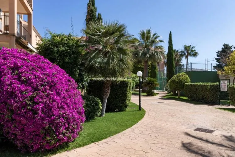 Apartment in Palma de Mallorca — photo 5
