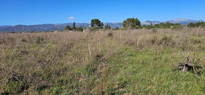 Plot in Santa Maria — photo 9