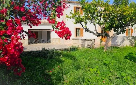villa in Establiments, Palma — photo 1