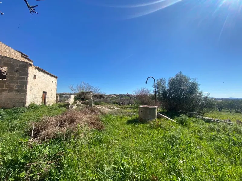 Cortijo in Campanet, Mallorca — photo 3