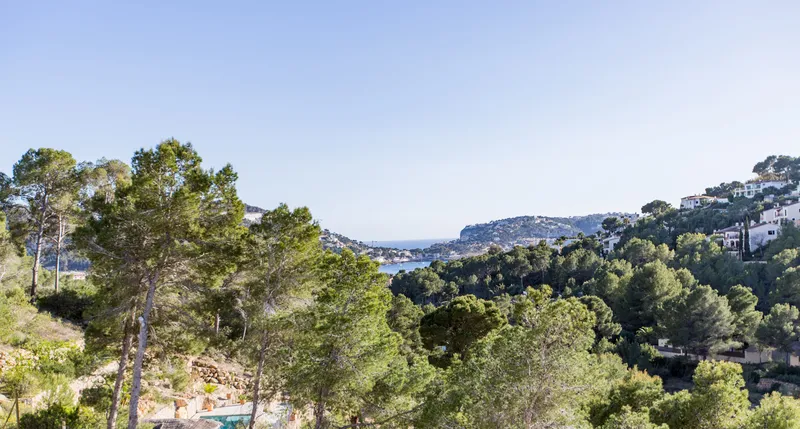Mediterranean living at its finest in Can Borràs, Puerto de Andratx — photo 3