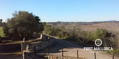 Country estate in Villafranca de Bonany — photo 3