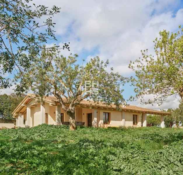 Villa to rent in Randa — photo 3