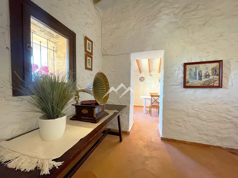 Finca with ETV and Spectacular Views — photo 10