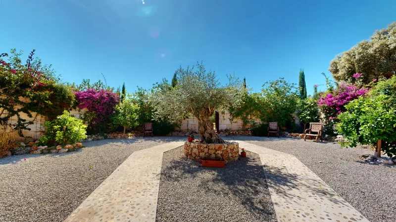 Reformed country house in Biniali with pool and panoramic views — photo 10