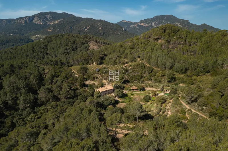 Rustic Finca for sale in Esporles — photo 7